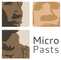MicroPasts logo